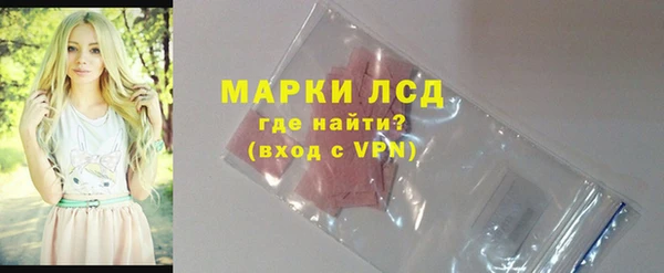 гашик Майский