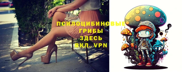 гашик Майский