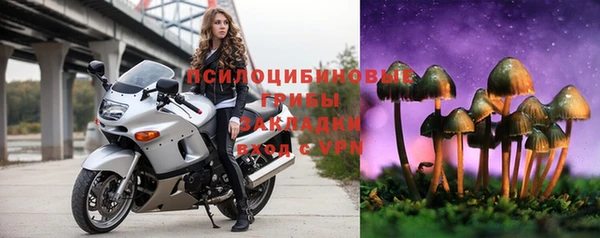 гашик Майский