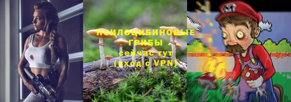 прущая мука Магадан